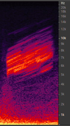 Спектрограмма звука активации дрона